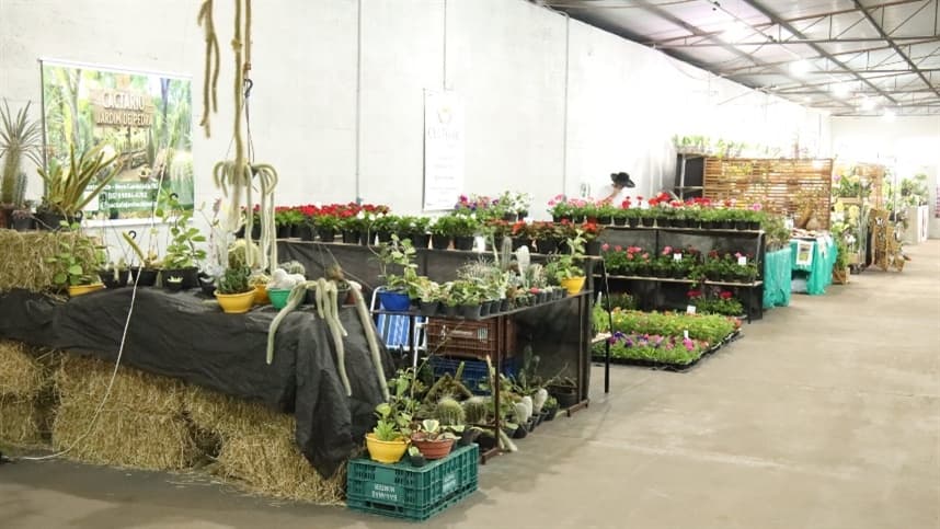 Fenasoja 2026 traz espaço exclusivo para floricultura