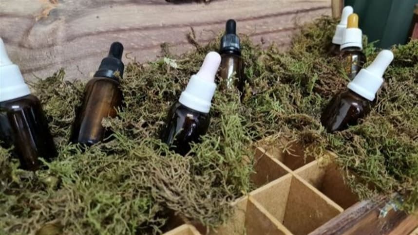 Seminário sobre Homeopatia Agroecológica acontece em Montenegro