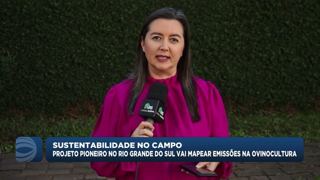 Projeto no RS almeja mapear emissões de gases na ovinocultura