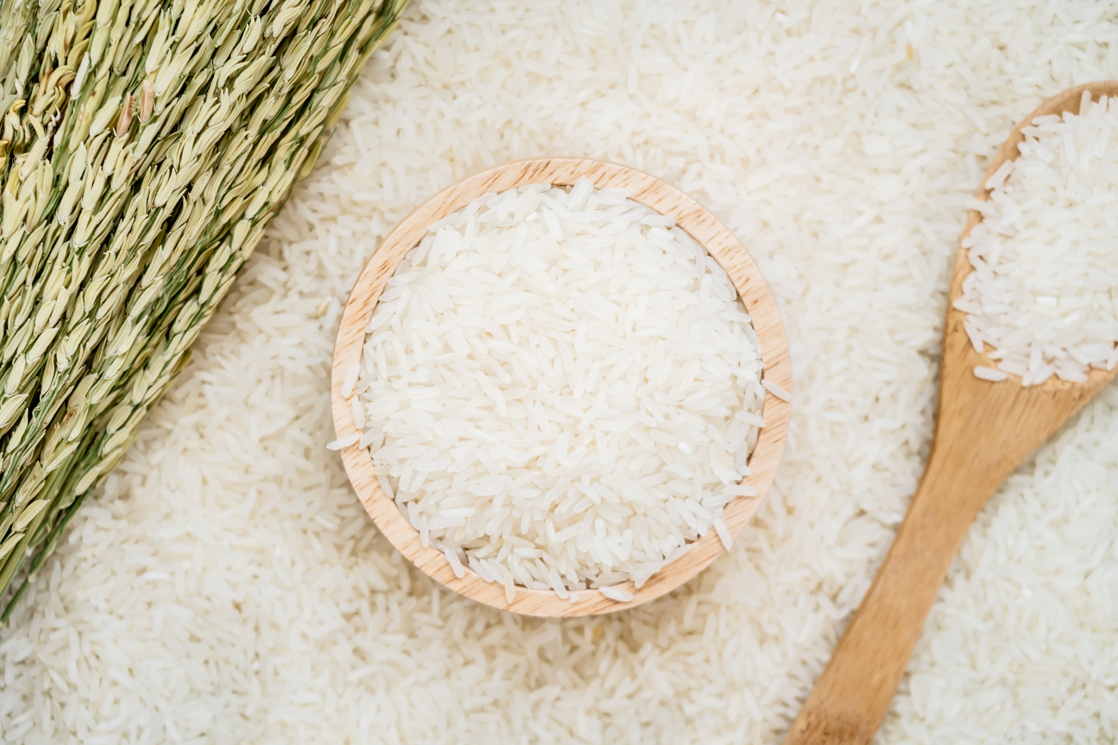 Preços do arroz no Rio Grande do Sul aumentam, mas ainda não cobrem custos