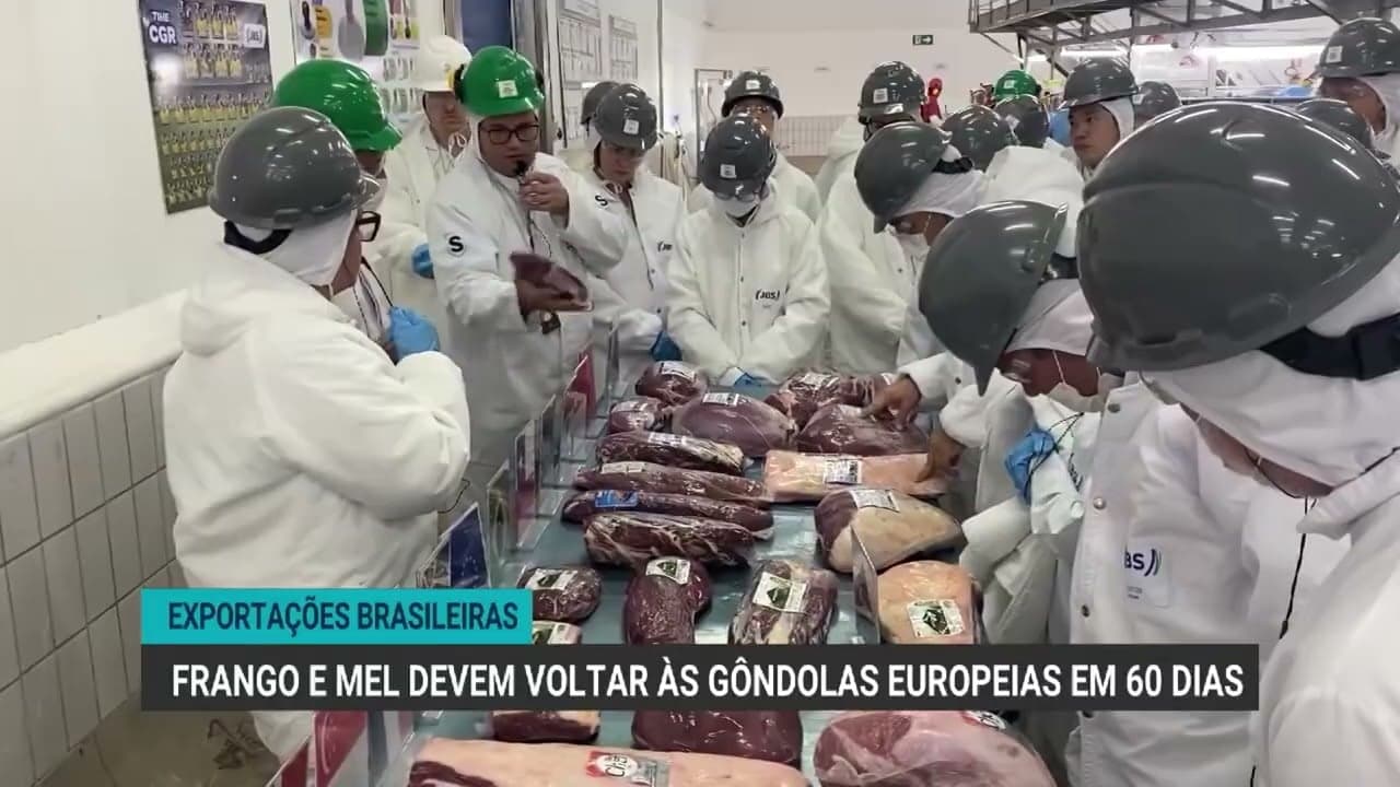 Exportações de carne de frango e mel do Brasil para a Europa devem ser retomadas em 60 dias