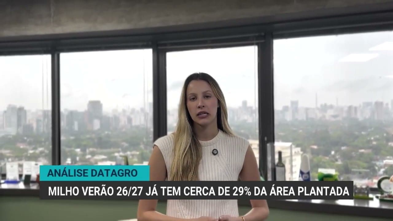 Brasil avança no plantio de milho verão, e soja tem alta no esmagamento