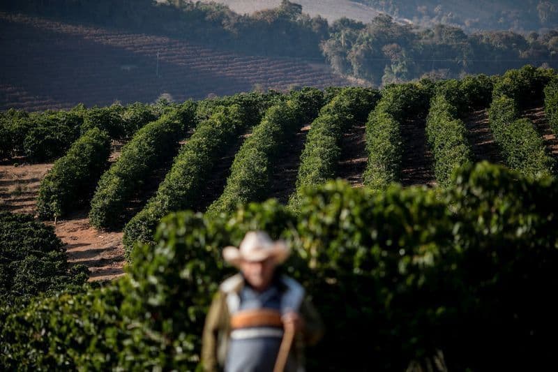 Minas Gerais é classificado como 'estado-espelho' pelo The Economist