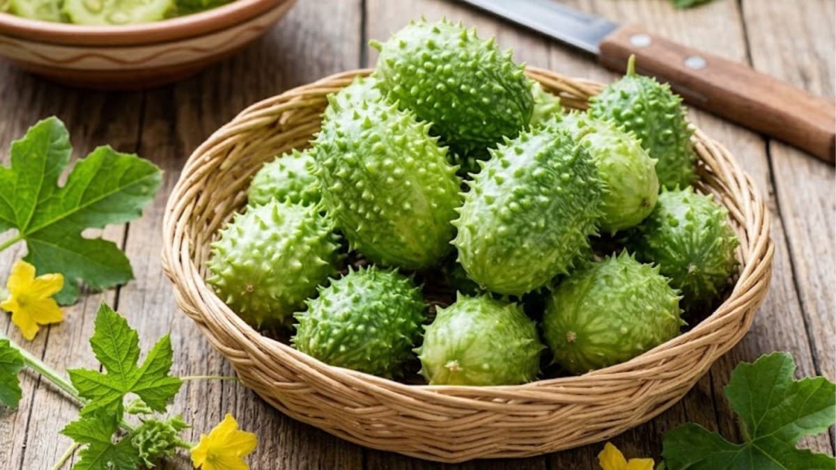 Maxixe: benefícios nutricionais e dicas de preparo
