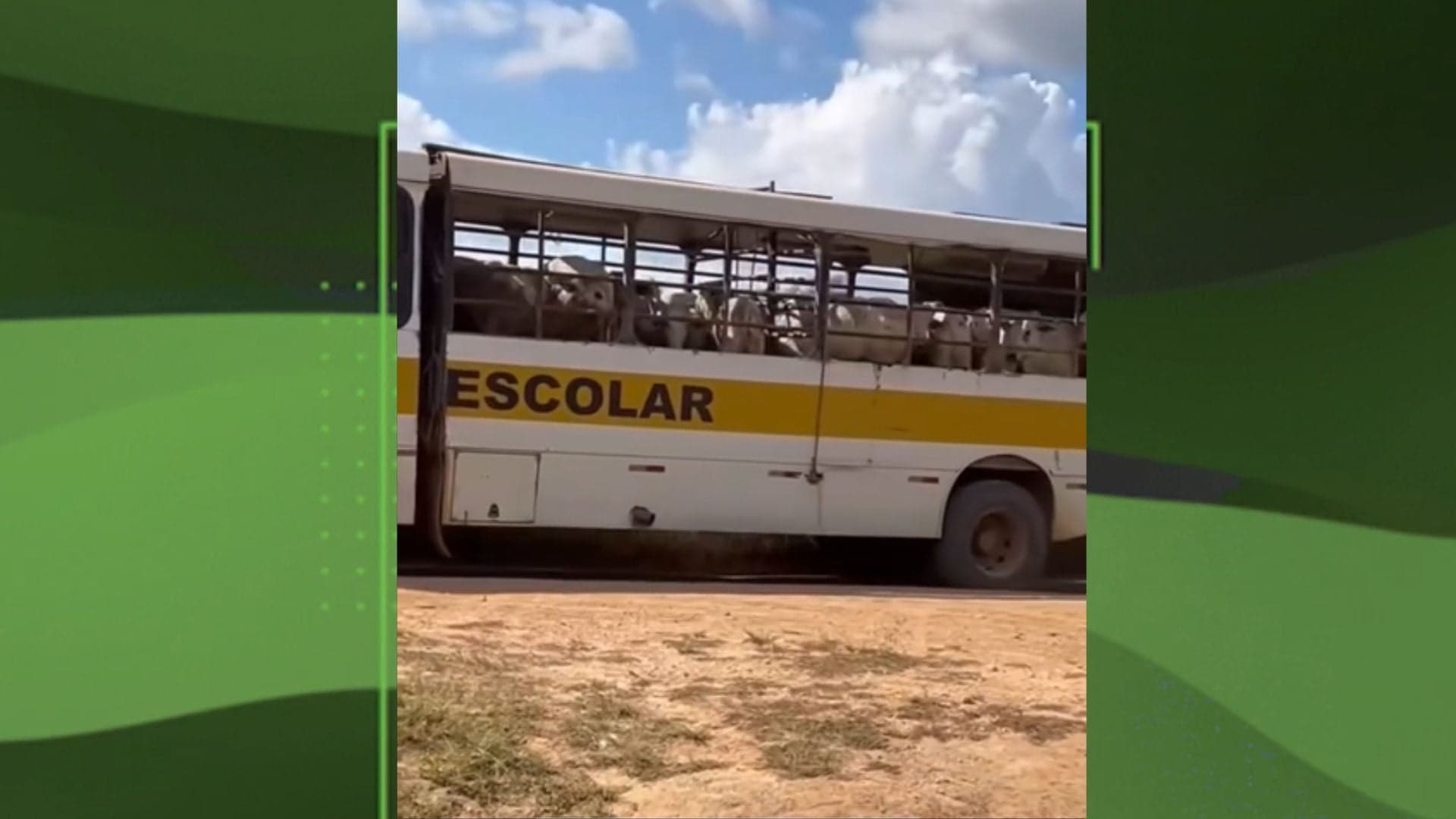 Transporte irregular de bovinos gera alerta em Novo Repartimento (PA)