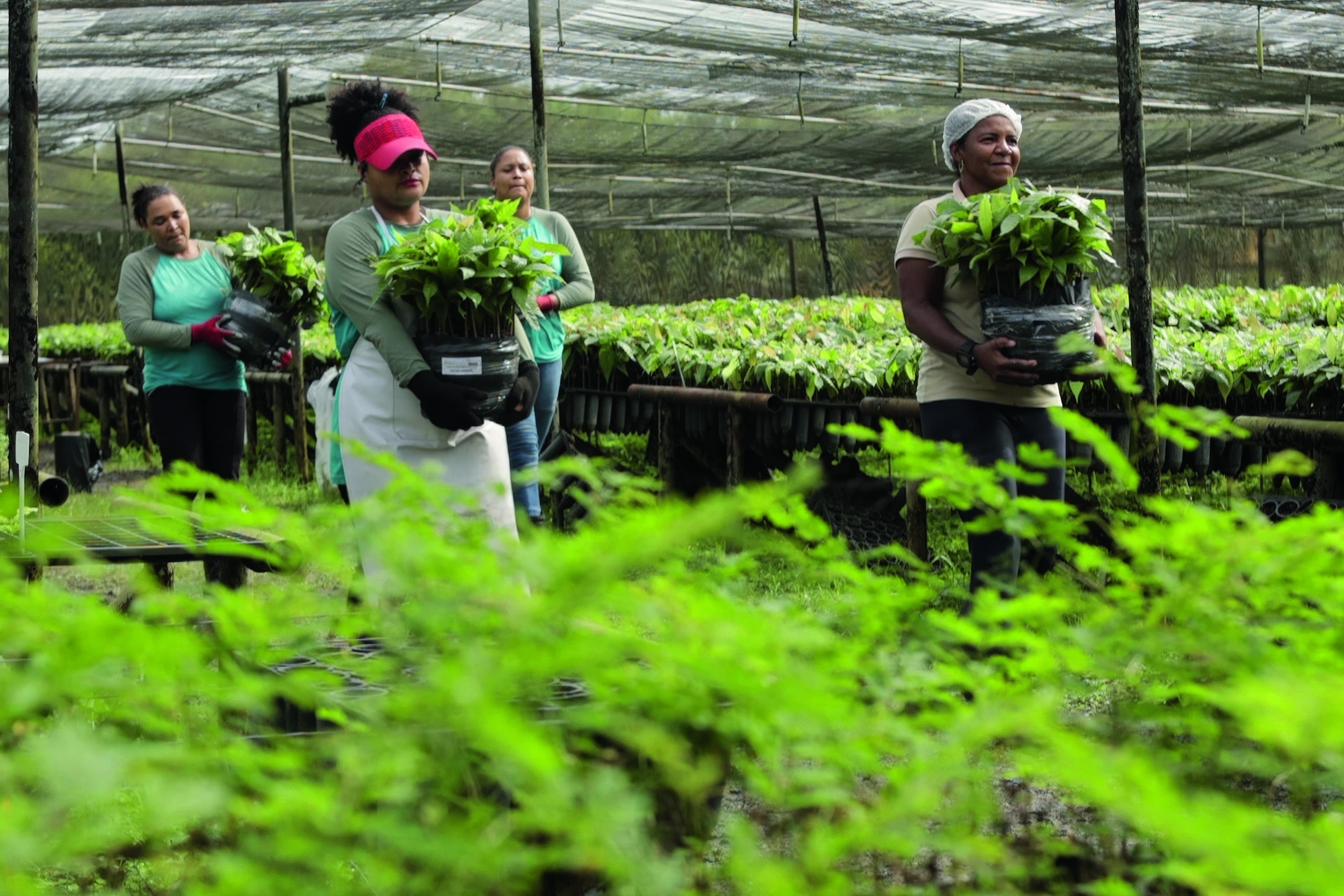Redução de barreiras para mulheres na agricultura pode aumentar PIB em US$ 1 trilhão