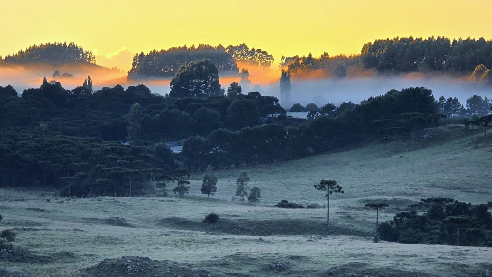 Mudanças climáticas marcam fim de semana com frio intenso pelo Brasil