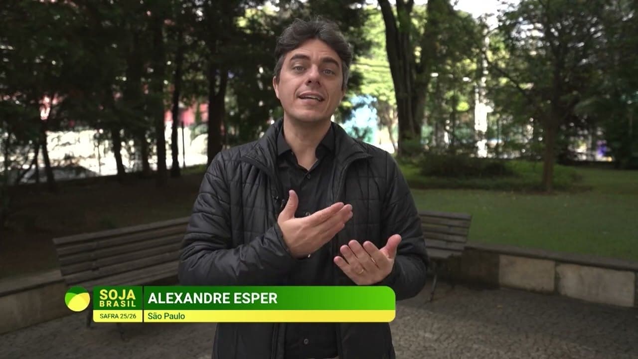 Brasil se torna líder global em produção de soja com 180 milhões de toneladas