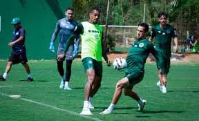 Botafogo SP x Goiás: O Desafio Que Busca Reação