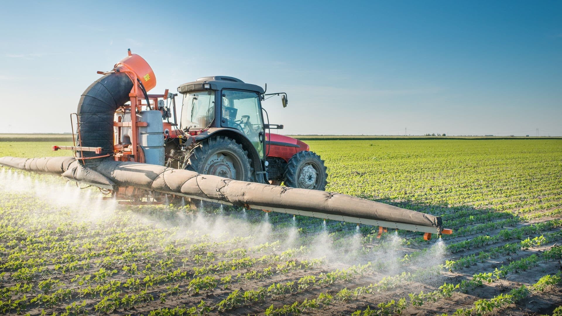 Governo analisa lista de agrotóxicos perigosos que pode impactar agricultura