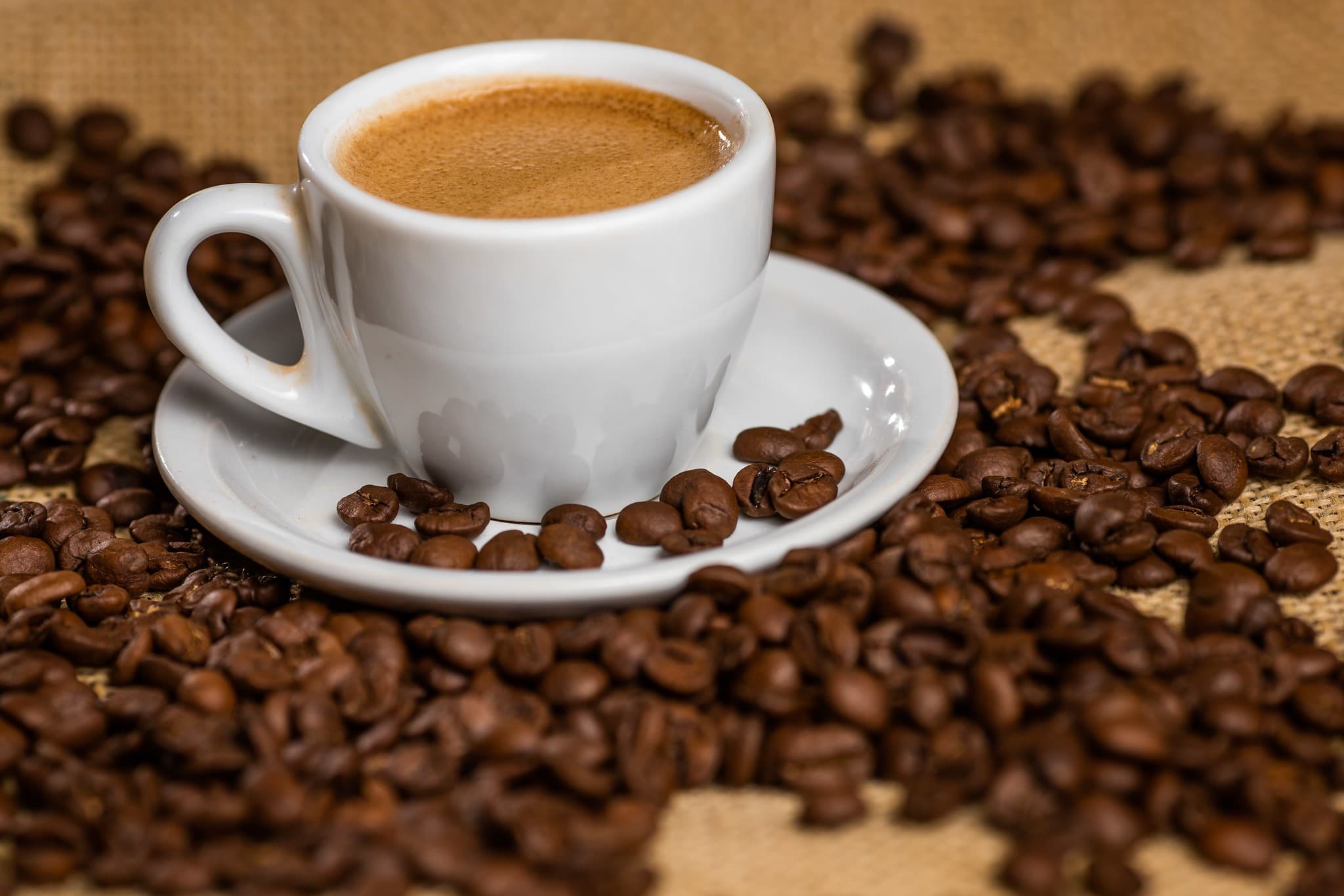 Café e cacau em alta enquanto algodão cai nesta terça-feira