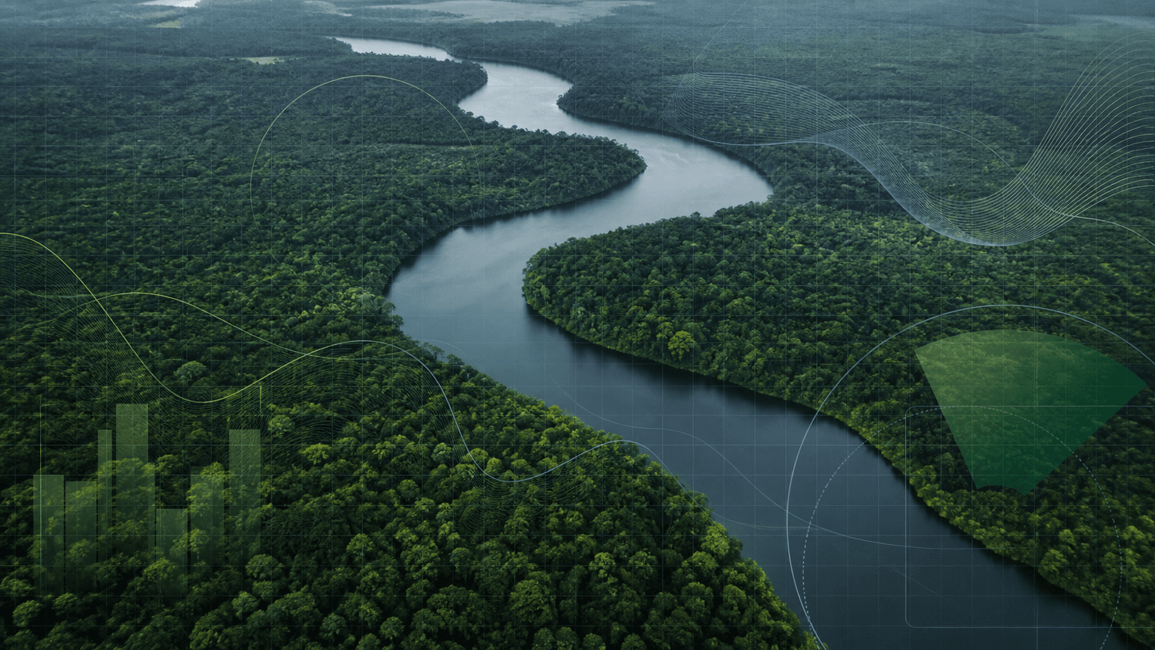Reino Unido investe 400 milhões de libras em fundo florestal brasileiro