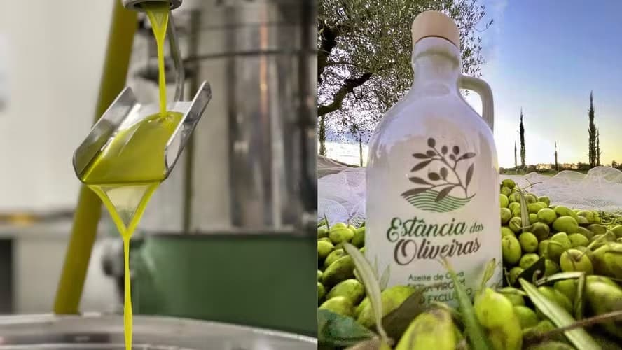 Azeite gaúcho é eleito o melhor do mundo em competição na Suíça