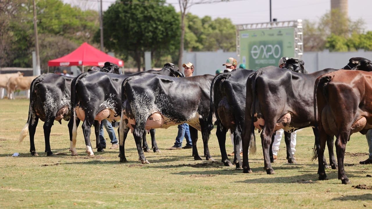 Expo Rio Preto atrai 202 mil visitantes e gera R$ 70,3 milhões