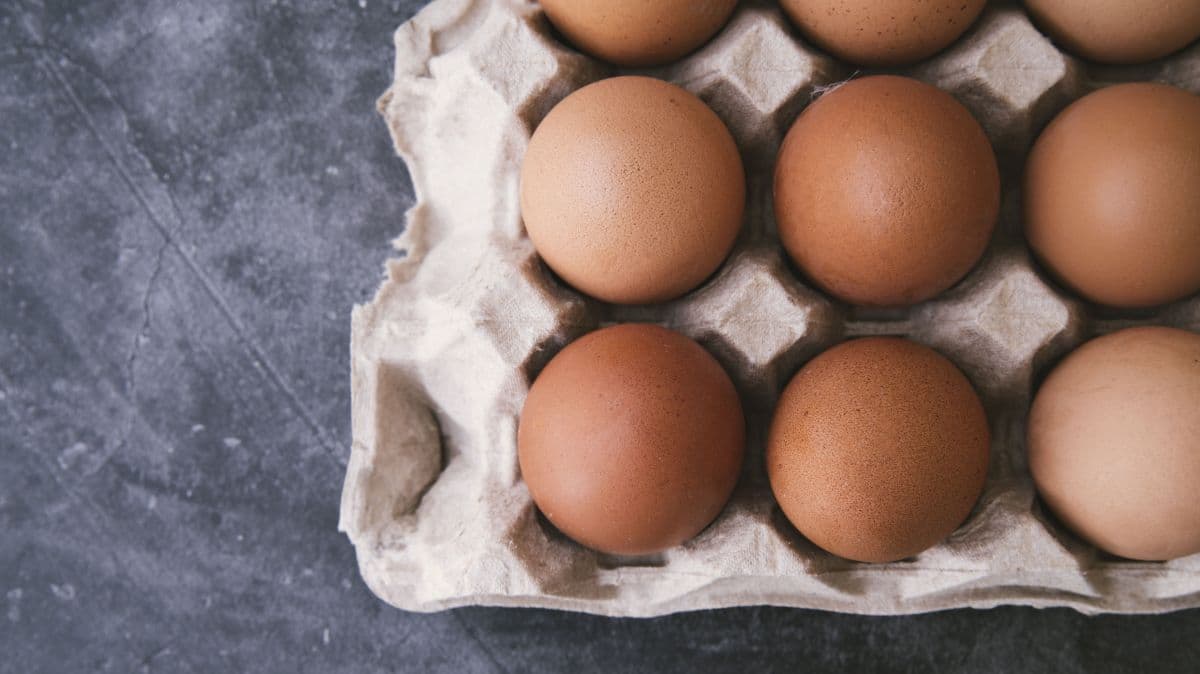 Alta nos Preços dos Ovos no Brasil: A Influência da Quaresma e da Oferta Controlada