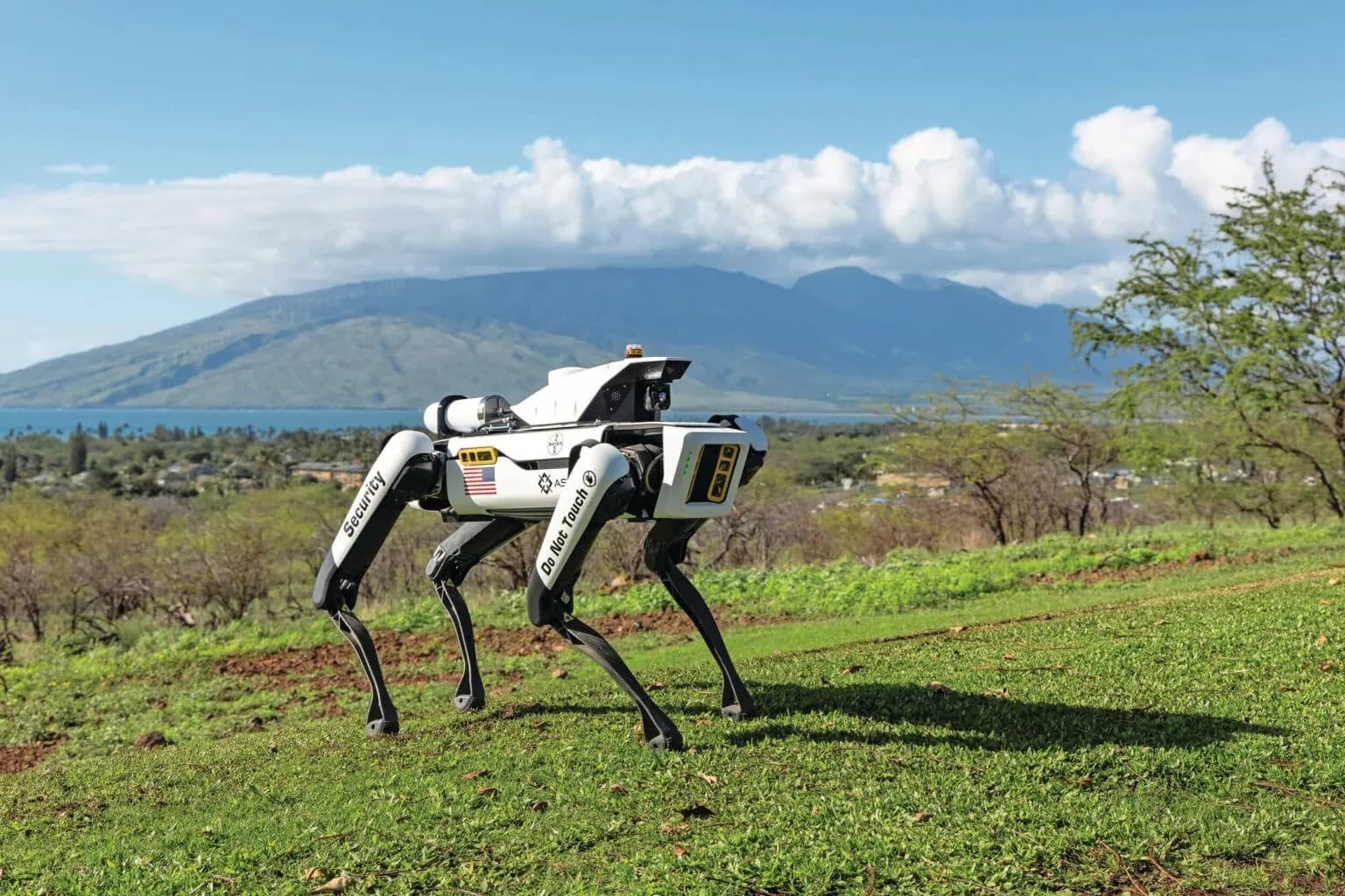 Robôs de patrulha inovam na segurança agrícola global