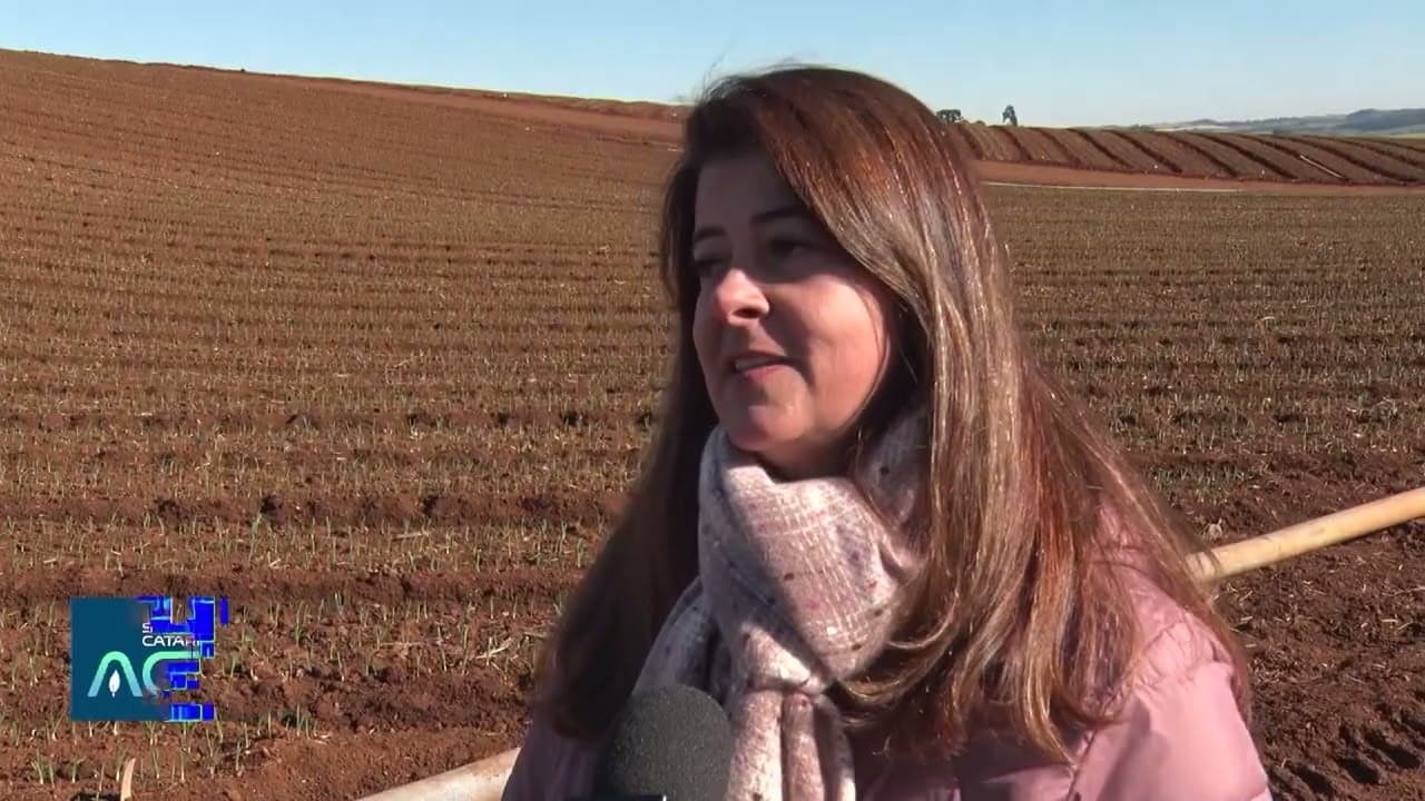 Transformação da Agricultura em Fraiburgo Gera Novas Oportunidades