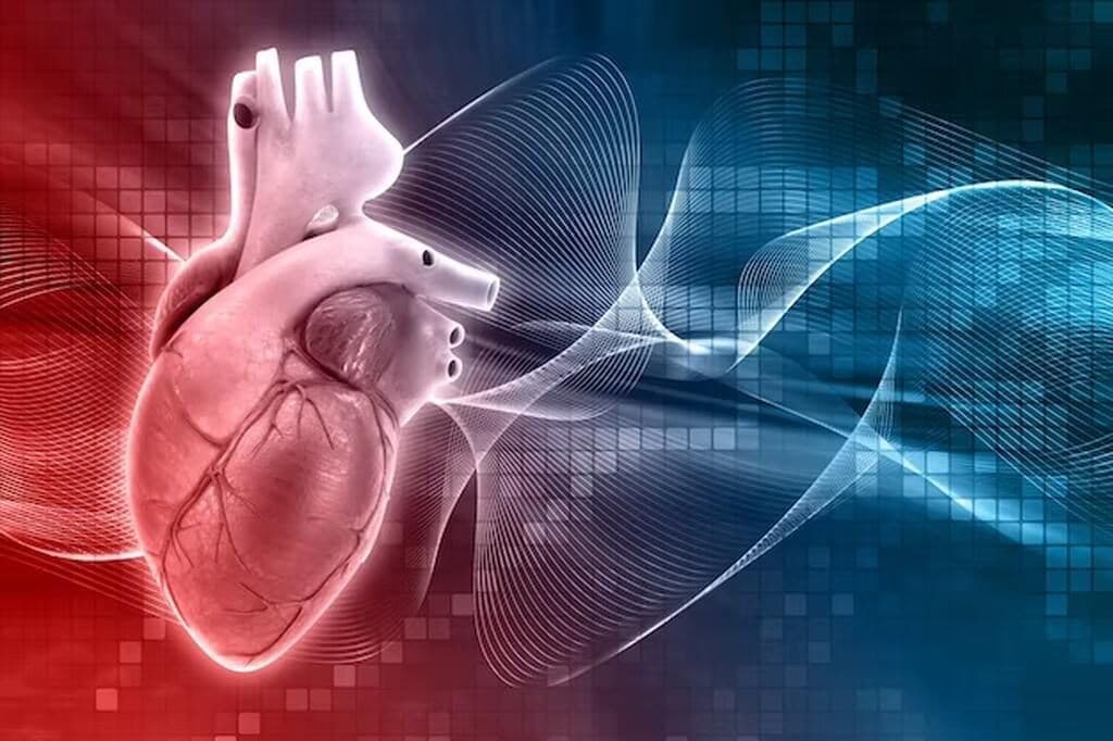Colesterol LDL: Novo Olhar Sobre Risco Cardiovascular