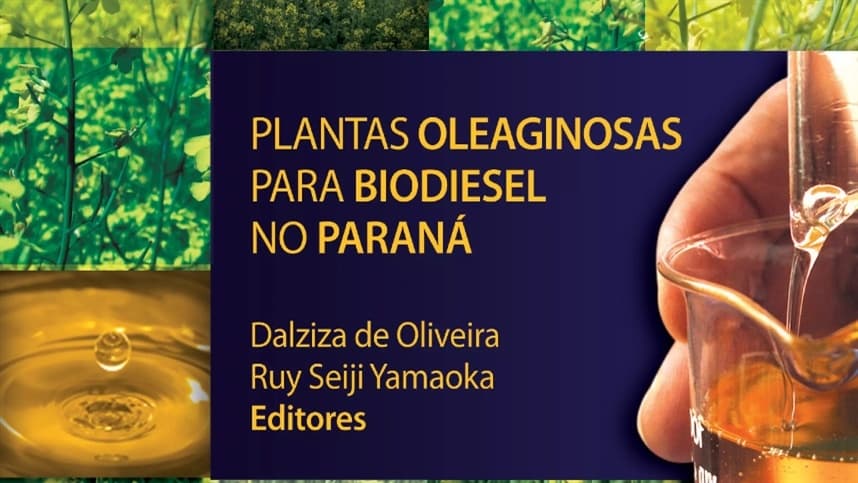 Livro sobre oleaginosas para biodiesel é finalista do Prêmio Abeu