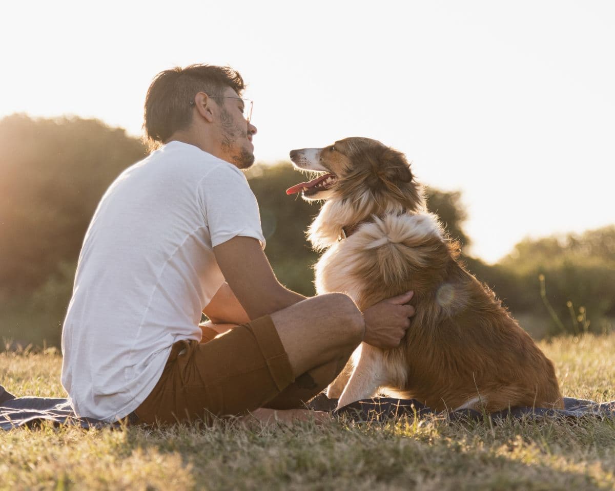 Relação entre humanos e cães se assemelha a vínculo materno