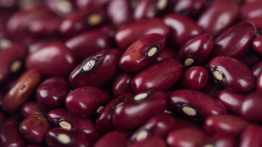 Queda nos preços do feijão marca início de abril em todo Brasil