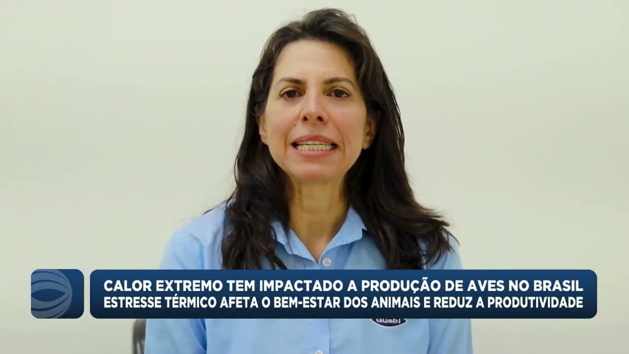 Estresse térmico agrava produção avícola no Brasil
