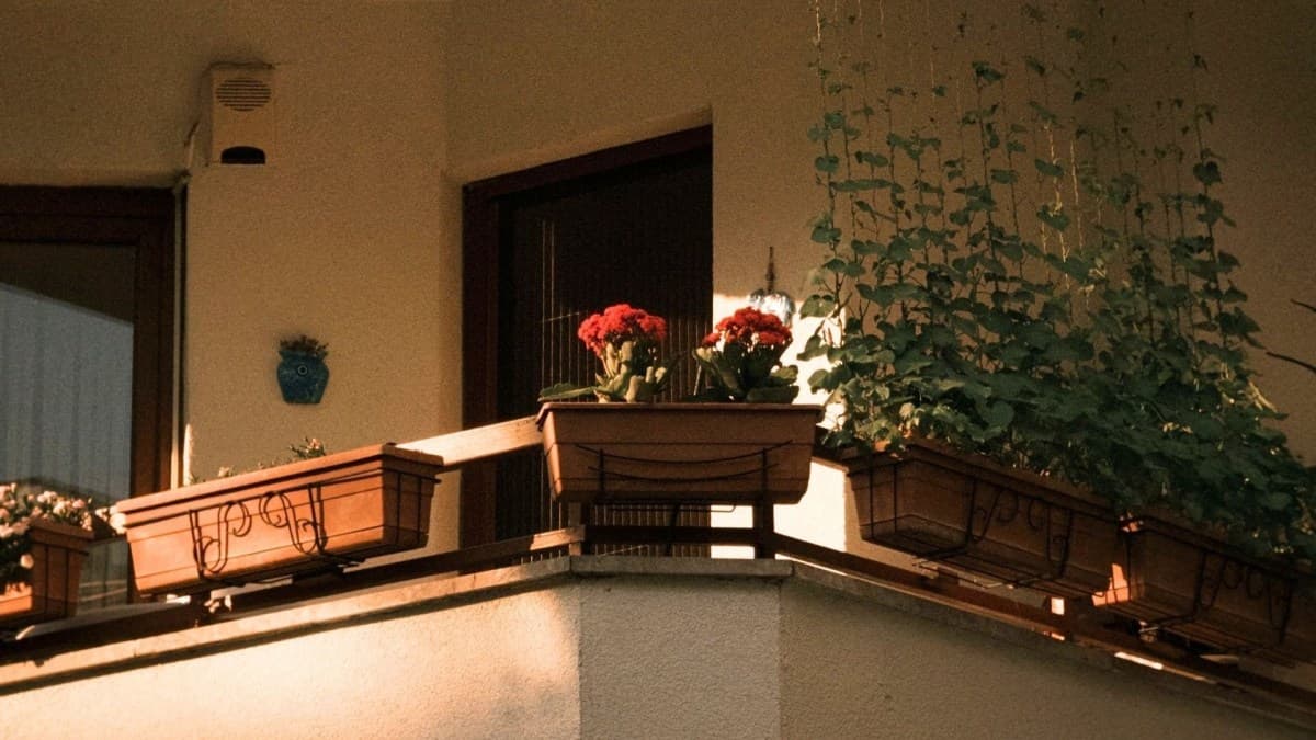 Regulamentação sobre decoração de sacadas em condomínios