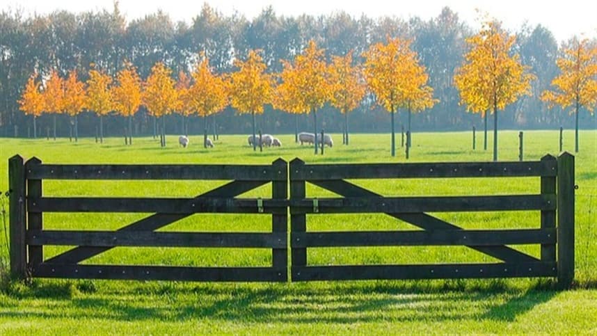 Conflitos no Oriente Médio pressionam custos agrícolas no Brasil