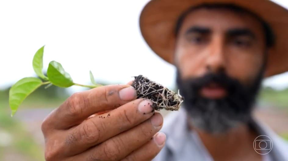 Irrigação transforma Vão do Paranã em polo de fruticultura