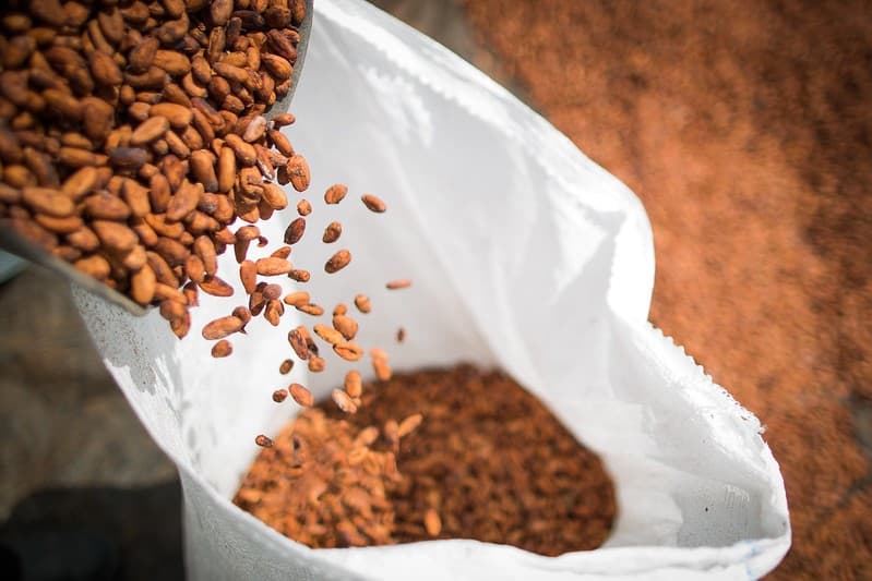Cacau se valoriza e supera US$ 6 mil na bolsa de Nova York