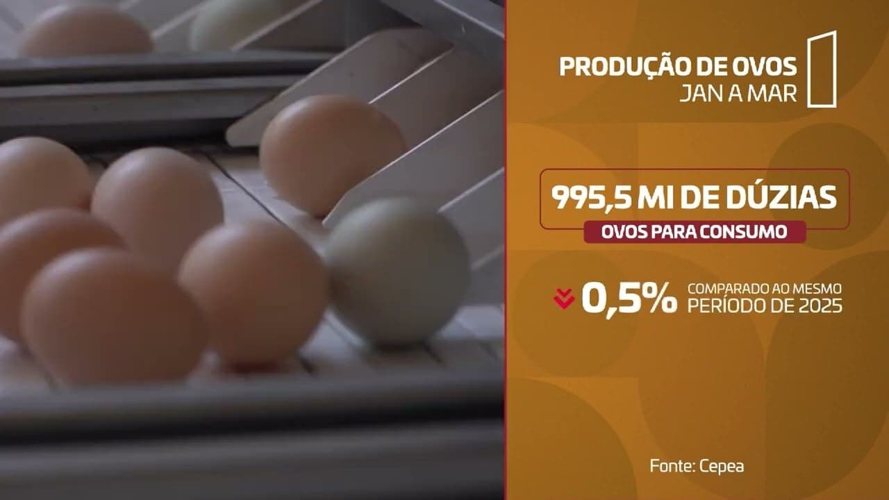 Mudanças nos preços de proteínas animais impactam mercado brasileiro