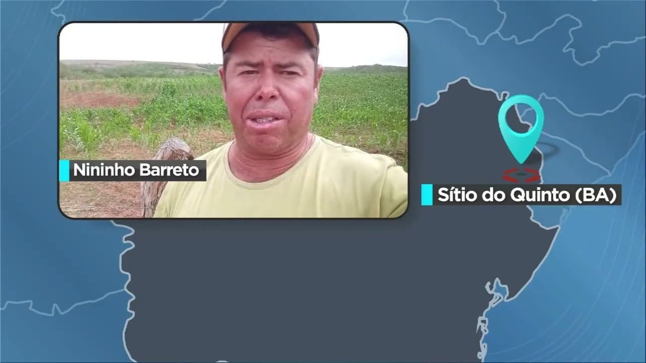 Chuvas em Sítio do Quinto oferecem alívio momentâneo a agricultores