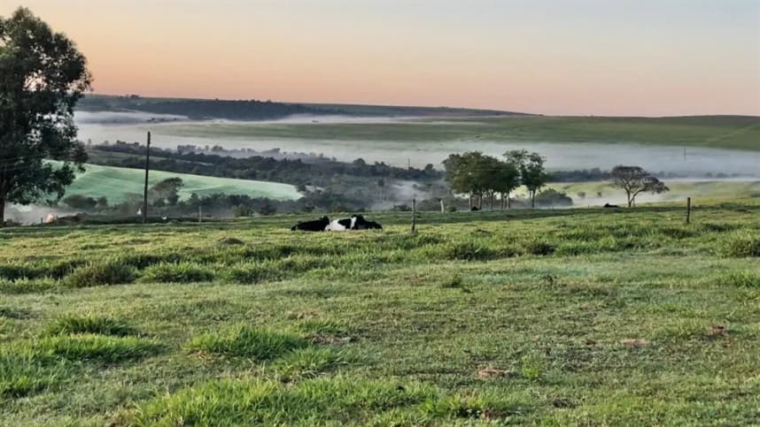 Frio intenso impacta Paraná com temperaturas em queda