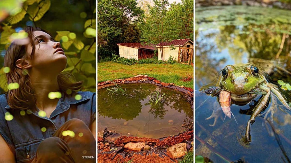 Jovem transforma quintal da Virgínia em habitat certificado para fauna e flora