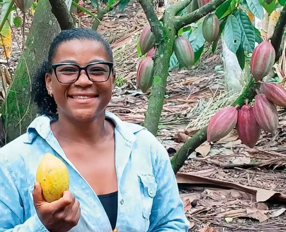 Cacau recupera espaço no Brasil, mas crédito para produtores é limitado