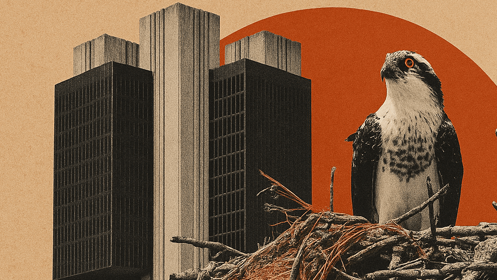 Copom avalia juros com incertezas pós-guerra no Oriente Médio