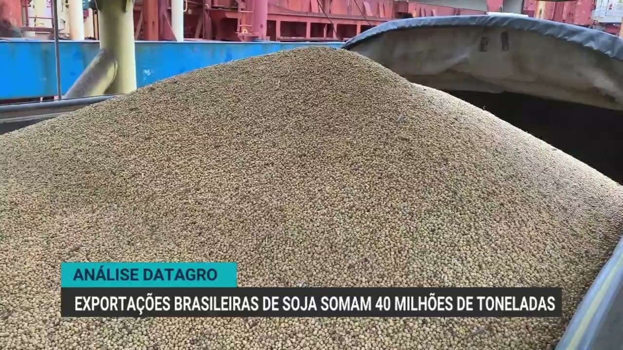 Soja brasileira exporta 40 milhões de toneladas em 2023