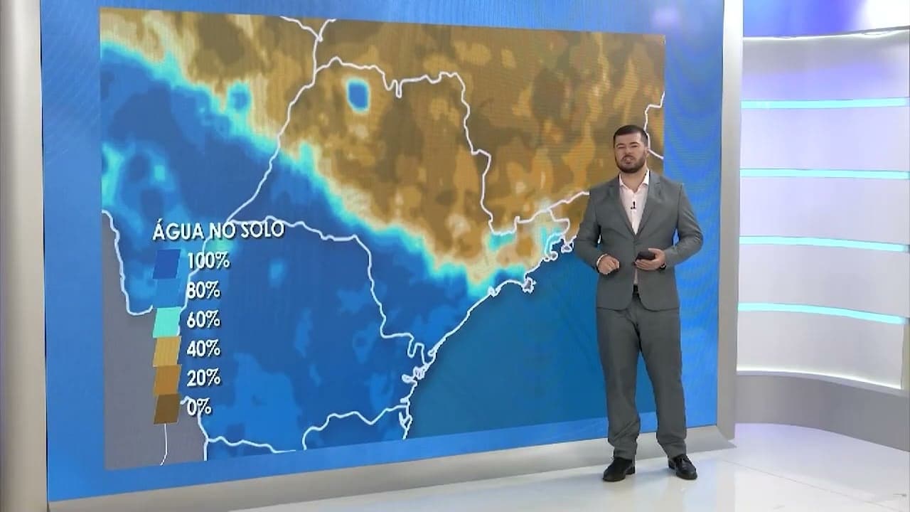 Chuvas em São Paulo garantem umidade adequada para batata doce