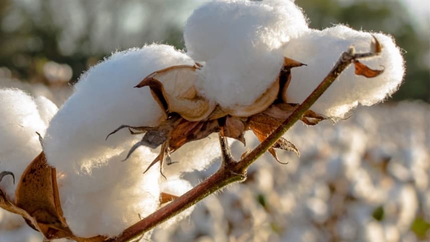 Câmara busca ações contra impactos das mudanças climáticas