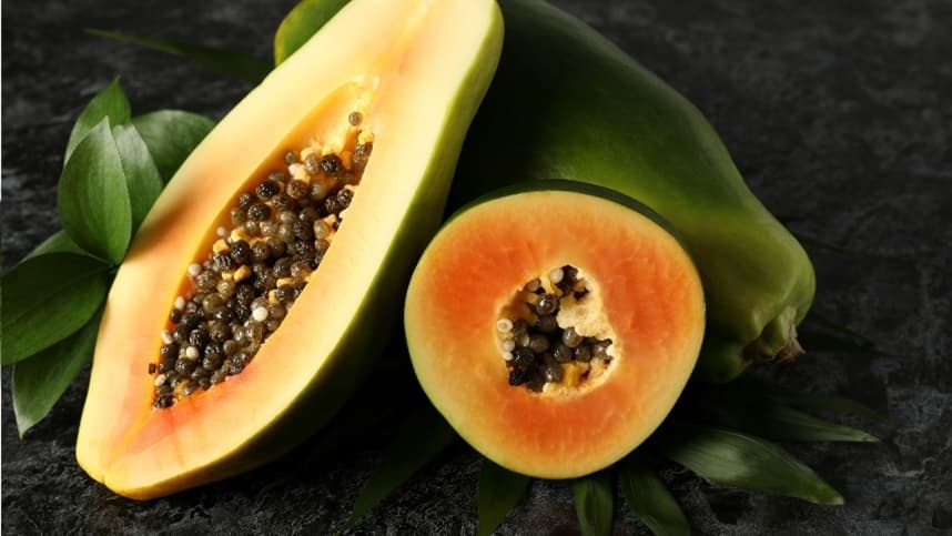 A batalha contínua contra os ácaros no mamão