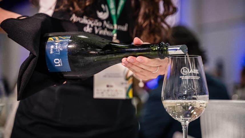 Avaliação Nacional de Vinhos celebra diversidade da vitivinicultura brasileira