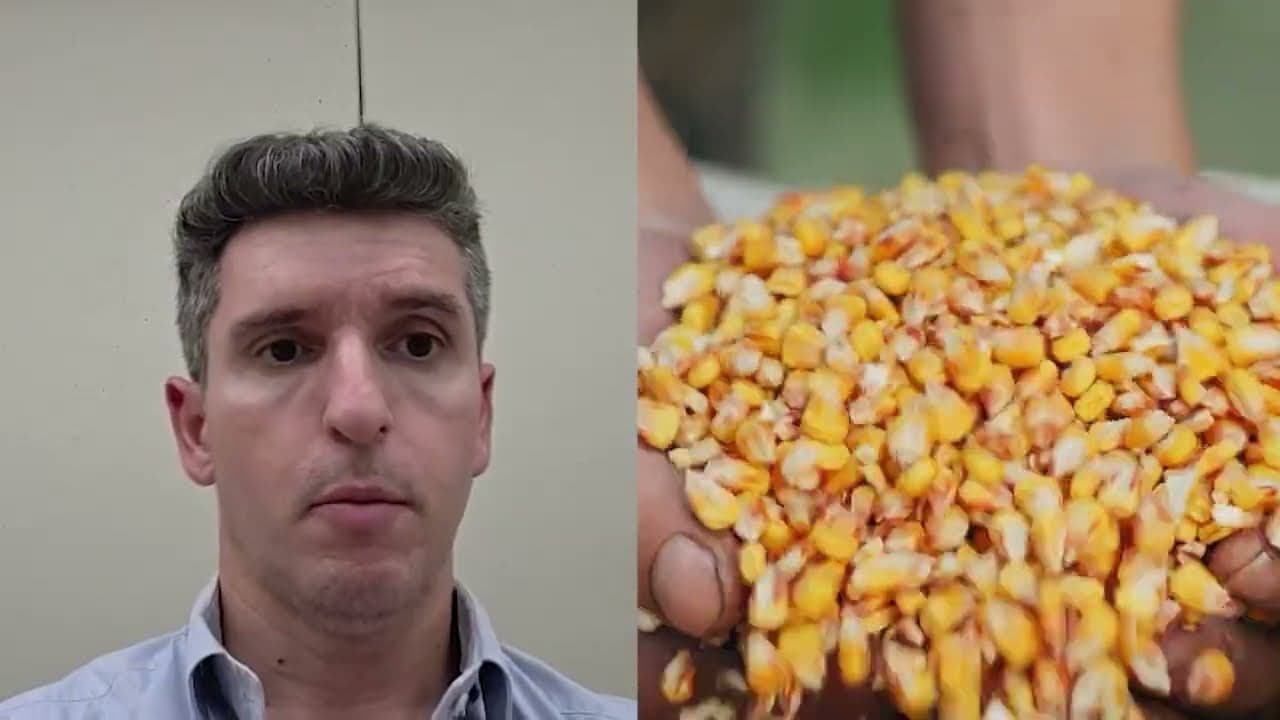 Financiamento Rural: Fontes e Recursos para Produtores em 2026/2027