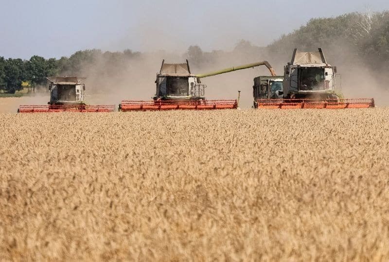 Exportações de grãos da Ucrânia caem para 1,49 milhão de toneladas