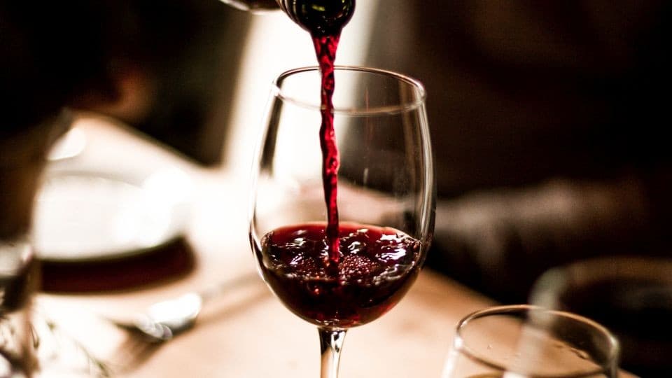 Verão extremo na França pode antecipar colheita de vinho