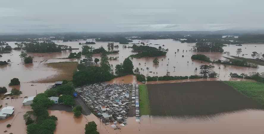 Retorno gradual das indústrias de aves e suínos no Rio Grande do Sul