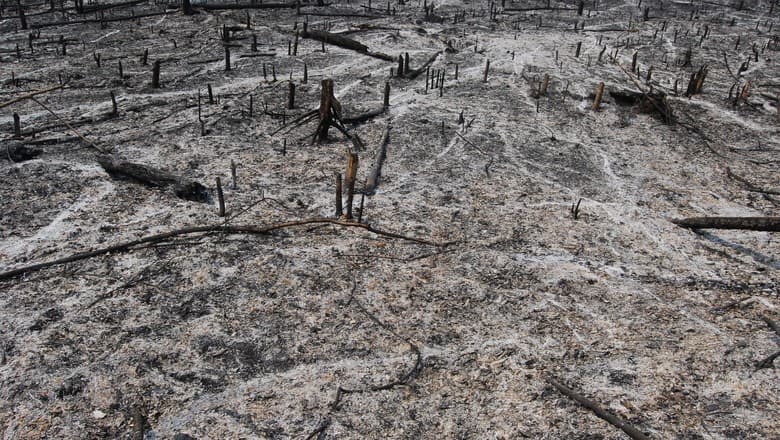 Brasil reduz queimadas para 12,7 milhões de hectares em 2025