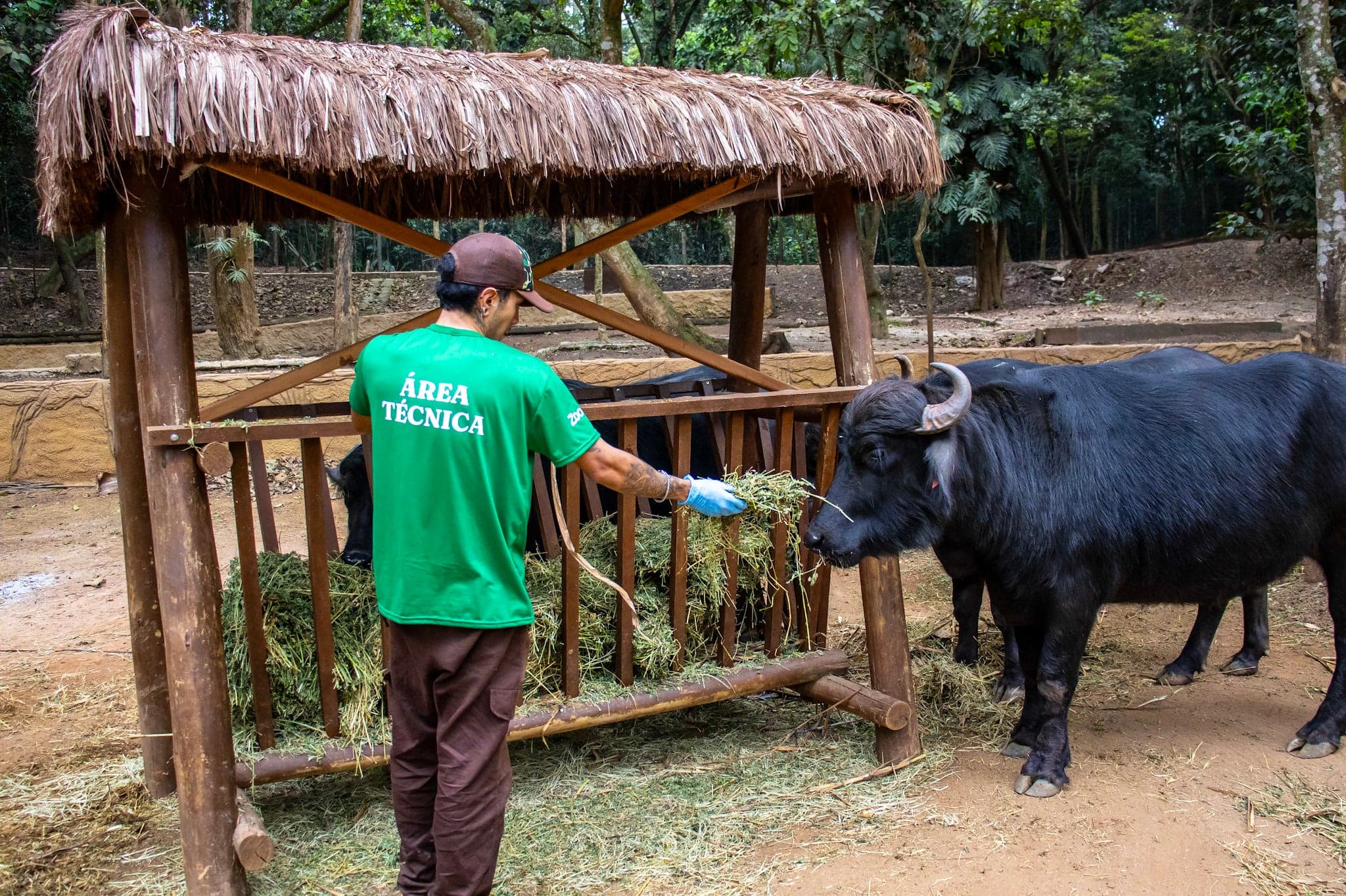 Zoo São Paulo revela importância do zootecnista na alimentação animal