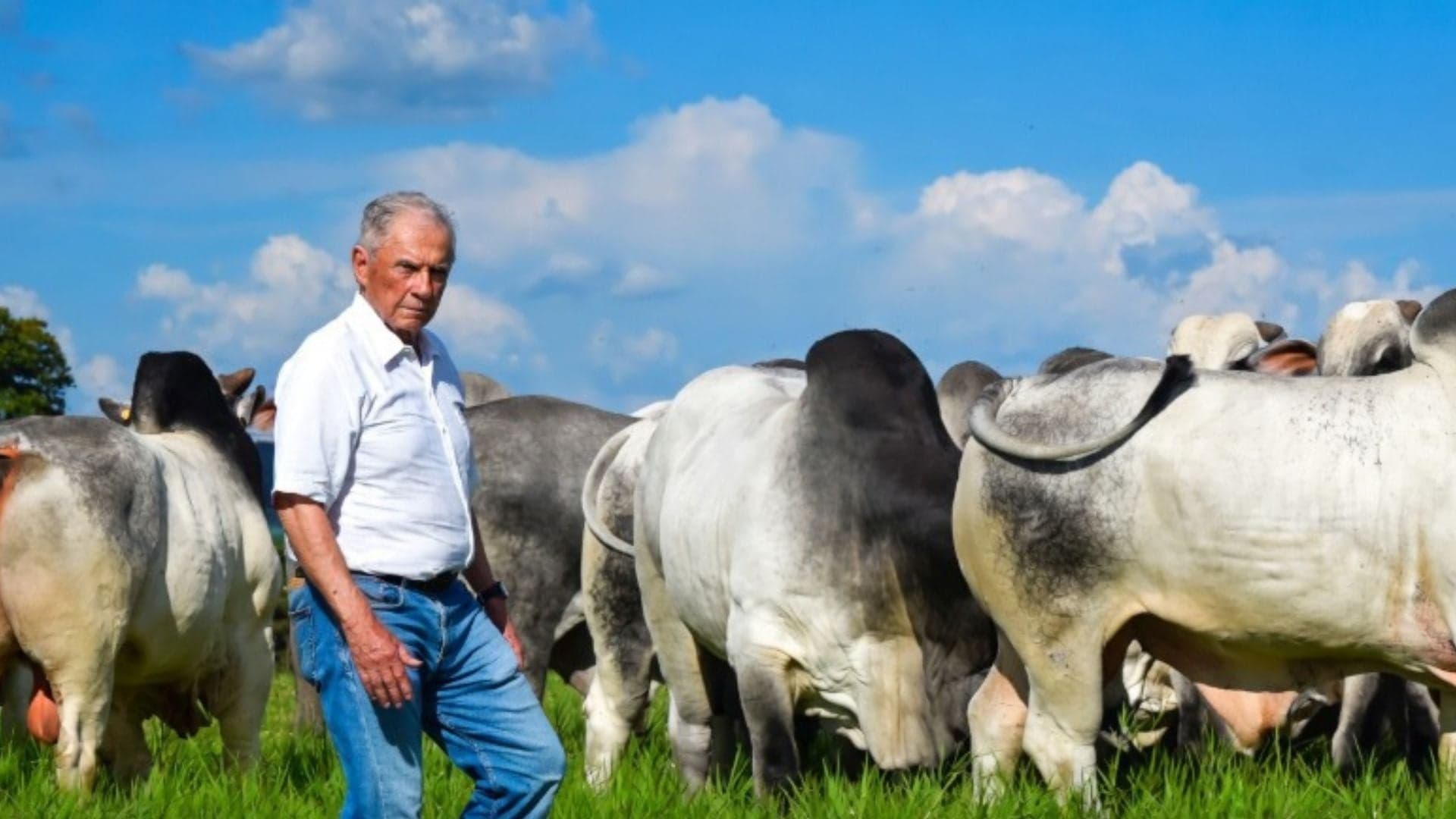 Zé Luiz Niemeyer é homenageado por contribuições ao agronegócio