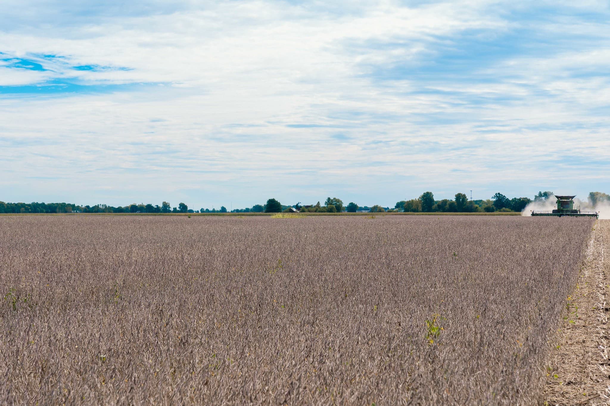 Cotações da soja caem com aumento na área plantada nos EUA