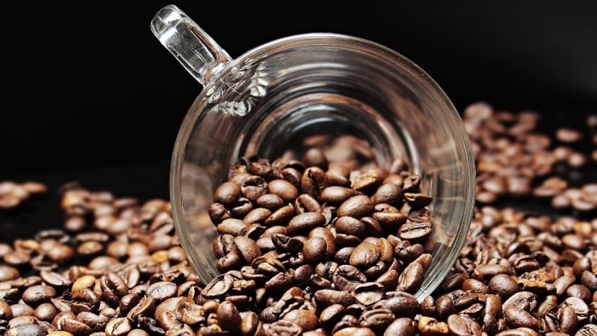 Regulagem eficaz da colheitadeira é crucial para cafeicultura